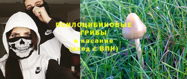 ГАЛЛЮЦИНОГЕННЫЕ ГРИБЫ Алексеевка