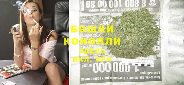 бошки Алексин