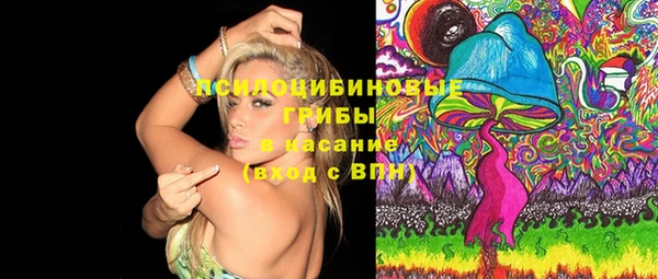 бошки Алексин