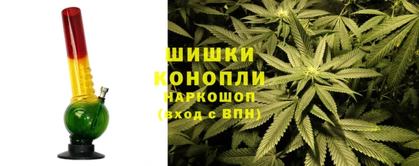 бошки Алексин